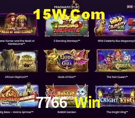 Bonus Features 7766 Win